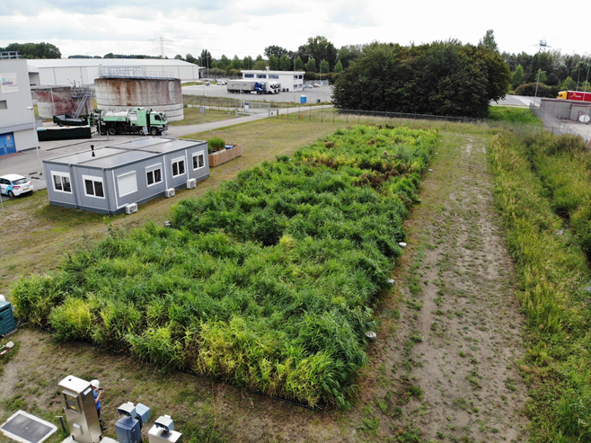 Wetlands top view, showing the three compartments (1 aerated, 2 non-aerated)