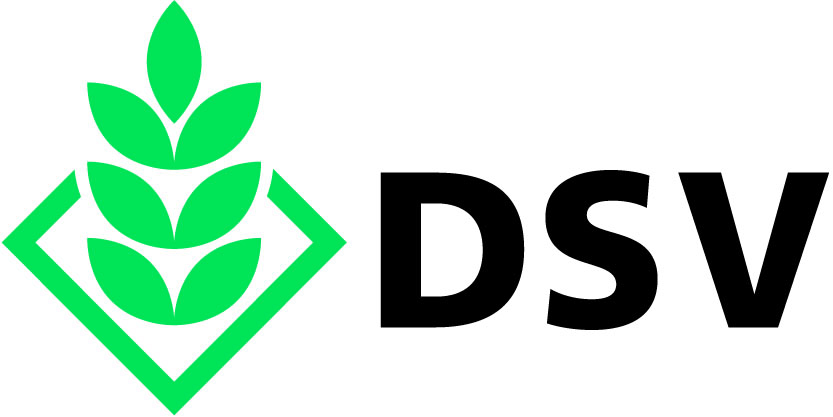 DSV