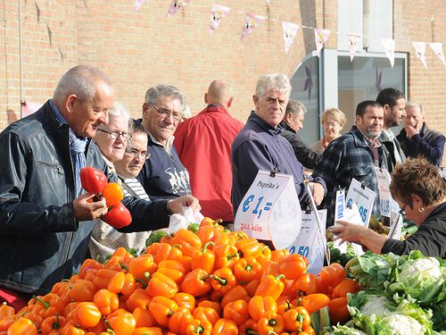 Markt Zeeland.jpg