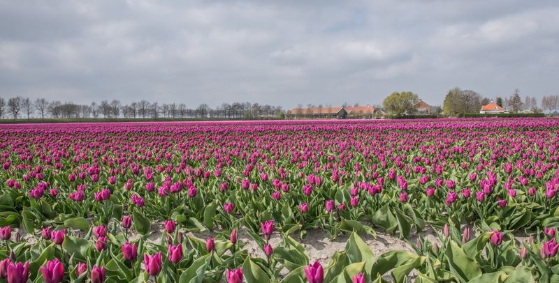 Leven in de Bevelanden