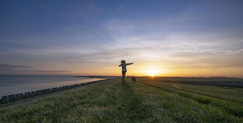 Brede welvaart in Zeeland