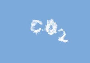 Co2.JPG