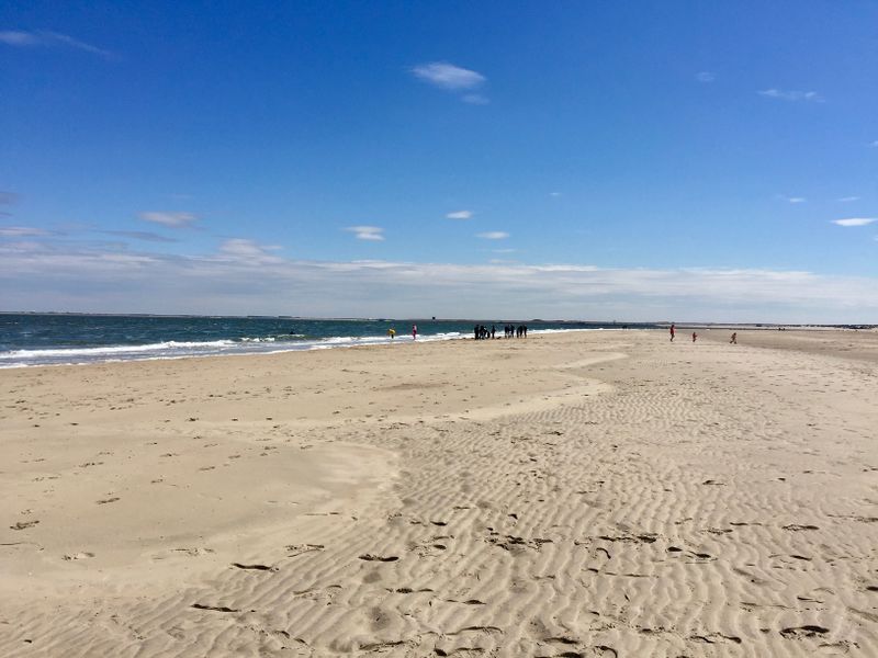 Strandonderzoek Schouwen-Duiveland