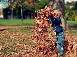 Peuter bladeren herfst.jpg