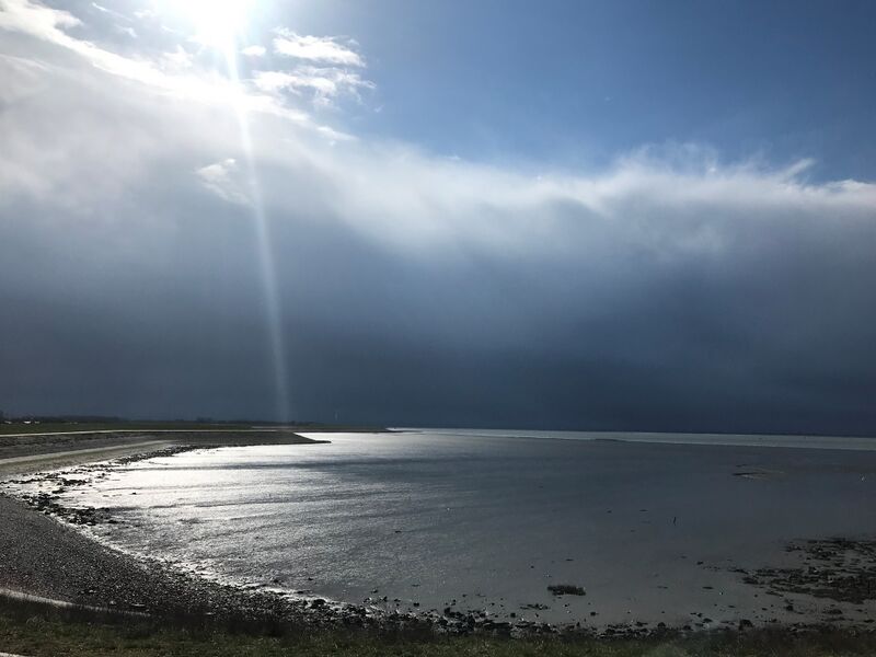 Beleefbare Schelde