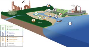 Infographic ESS Schorerpolder 3.JPG