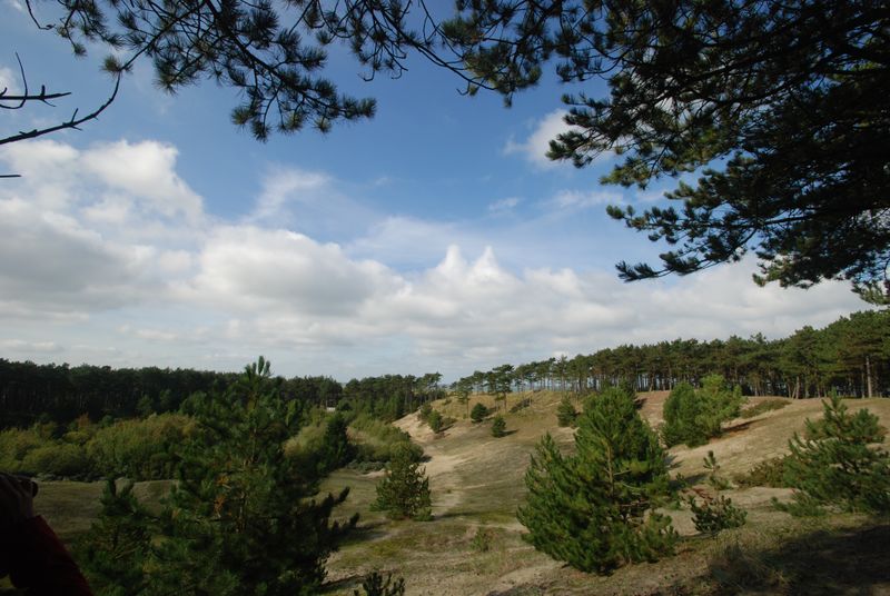 Bezoekersonderzoek natuurgebied Oranjezon