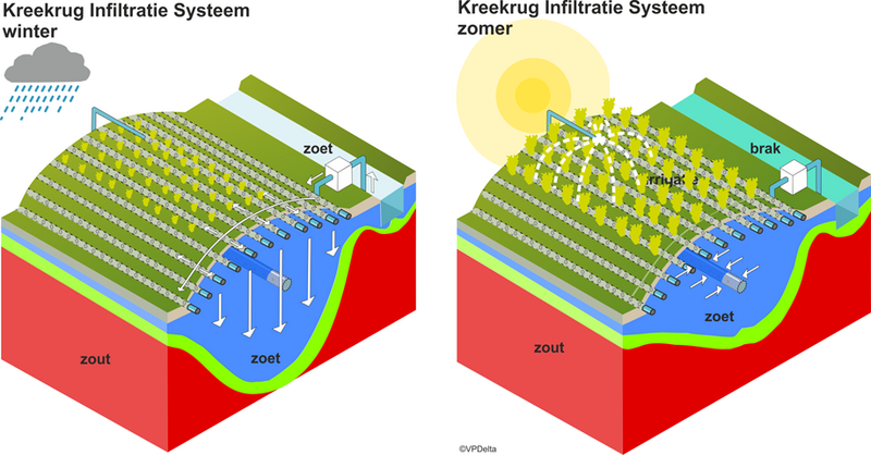 Figuur 1: Schematische weergave van het principe van kreekruginfiltratie